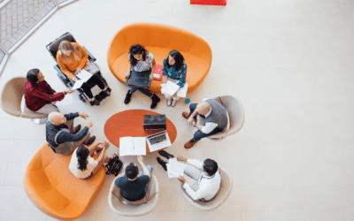 What market research options are available to you, and how do you know which tool is best?